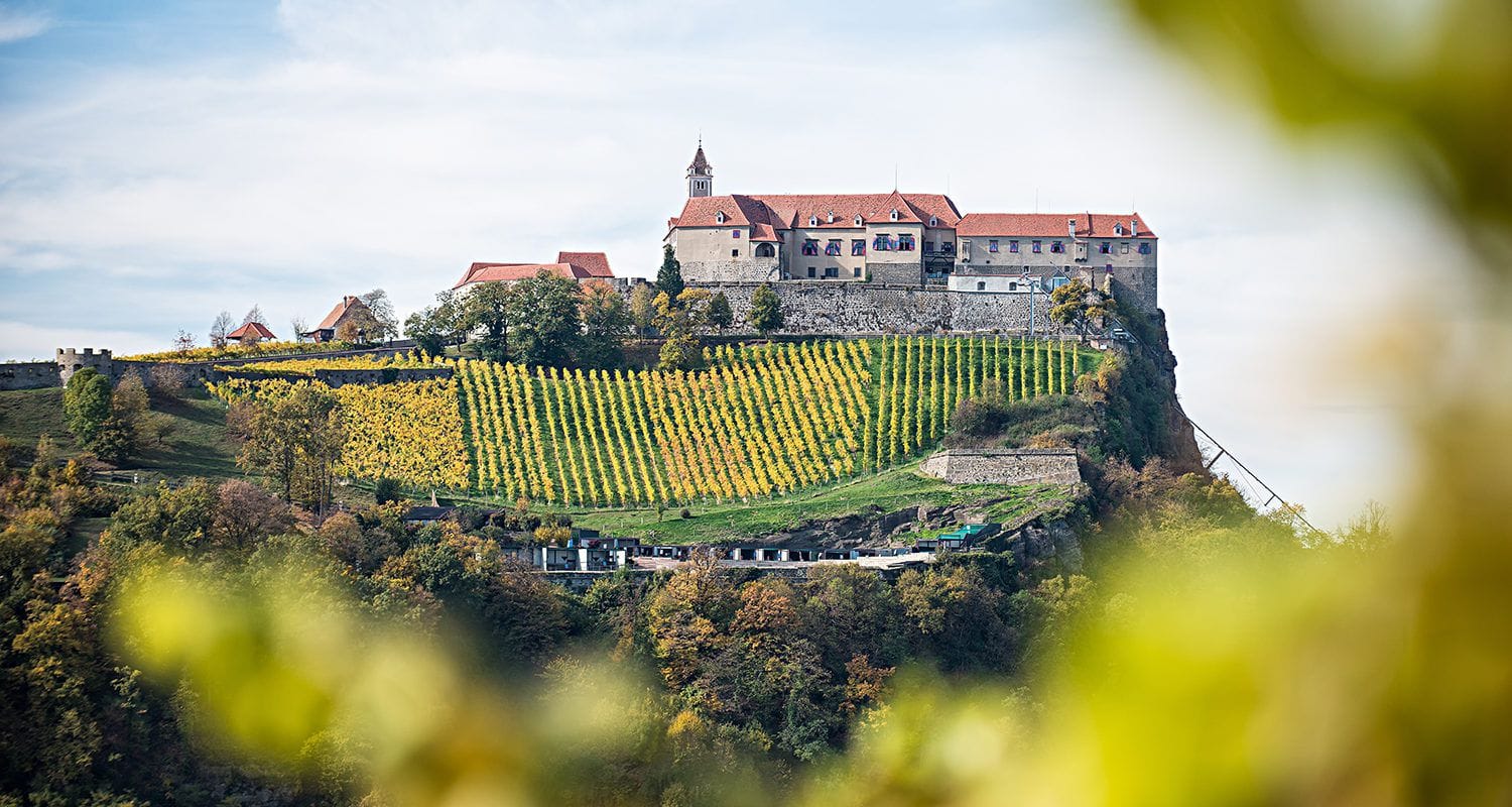 Meine stadt singlebrse igls - Ligist single night